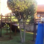 Jungle gym X