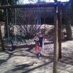 Kids Swing Set